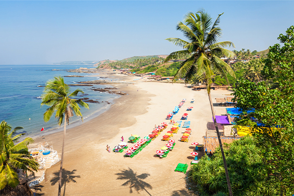 goa